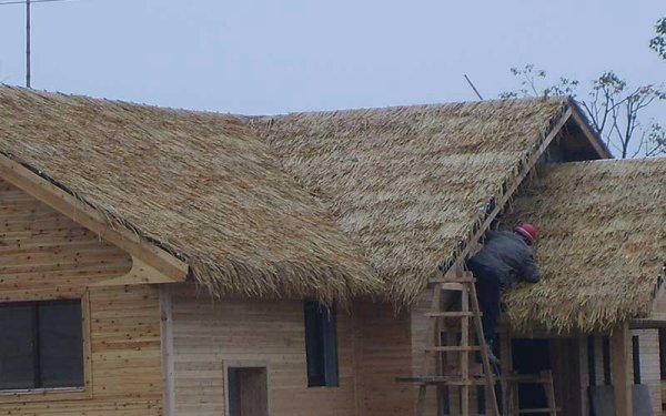 辽宁仿真茅草高端屋顶塑料茅草瓦农家乐特色茅草屋案例 