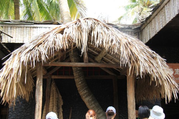 四川仿真茅草贵族农家乐特色茅草屋仿古屋面人造茅草案例 