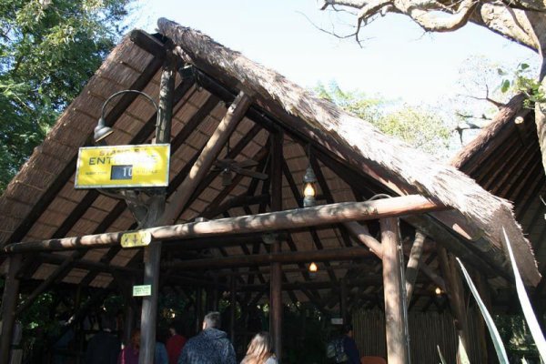 美洲风格屋面茅草主题乐园