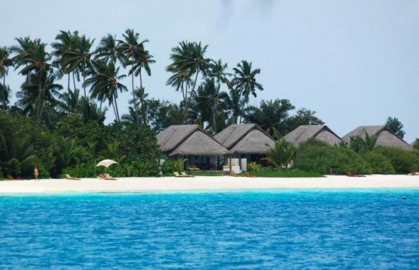 印度海滨人造茅草风格度假酒店